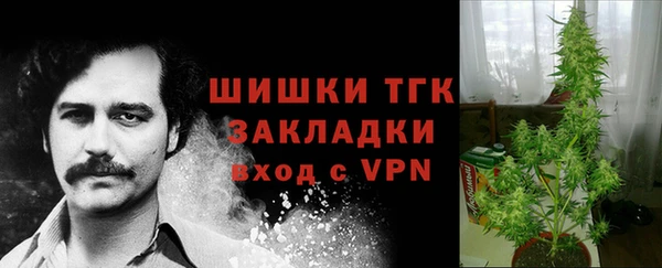 шишки Осинники
