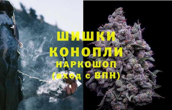гидра Осташков