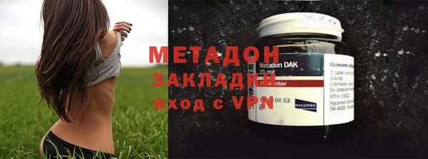 шишки Осинники