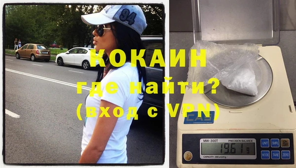 шишки Осинники
