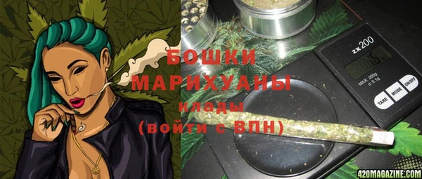 шишки Осинники