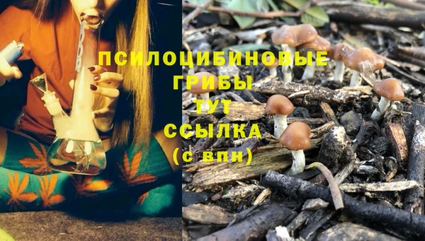 гидропоника Нязепетровск