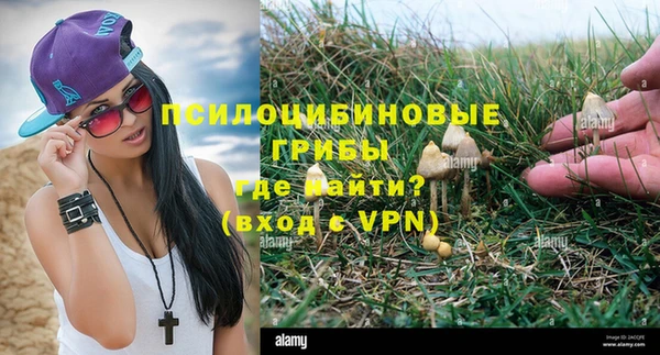гидропоника Нязепетровск