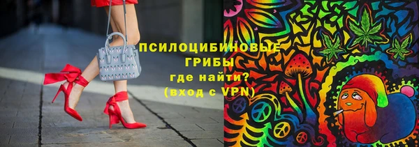 гидропоника Нязепетровск