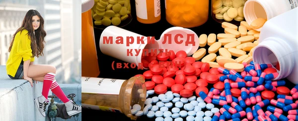 шишки Осинники