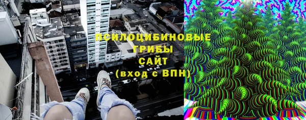 шишки Нягань