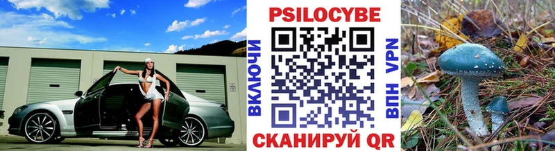 маркетплейс клад  Переславль-Залесский  Псилоцибиновые грибы GOLDEN TEACHER  продажа наркотиков 