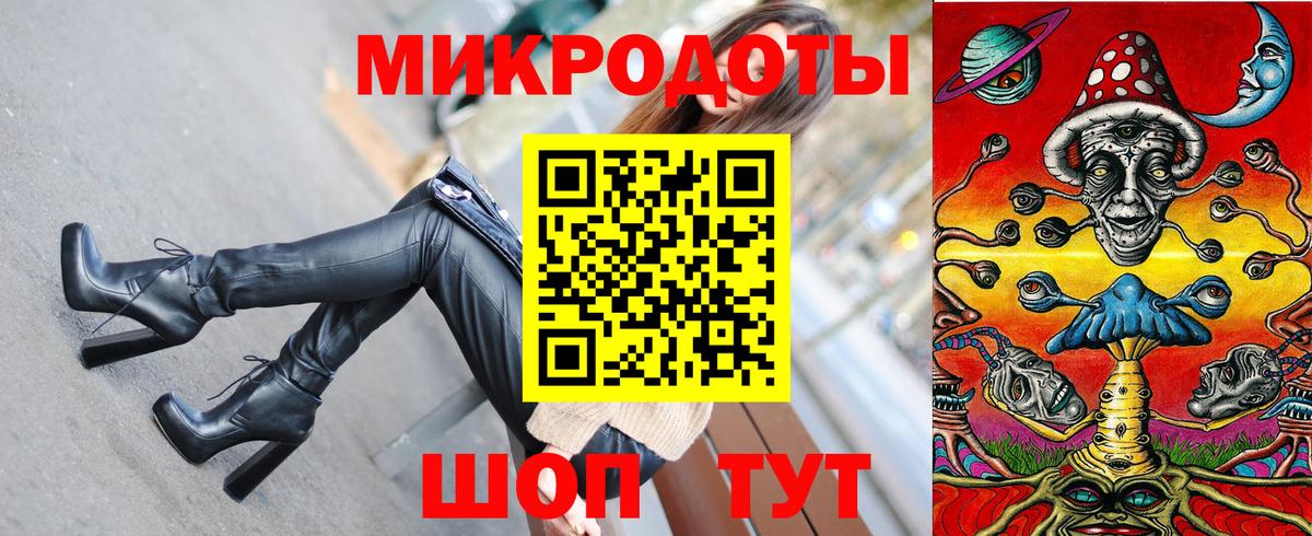 Псилоцибиновые грибы Psilocybe Переславль-Залесский