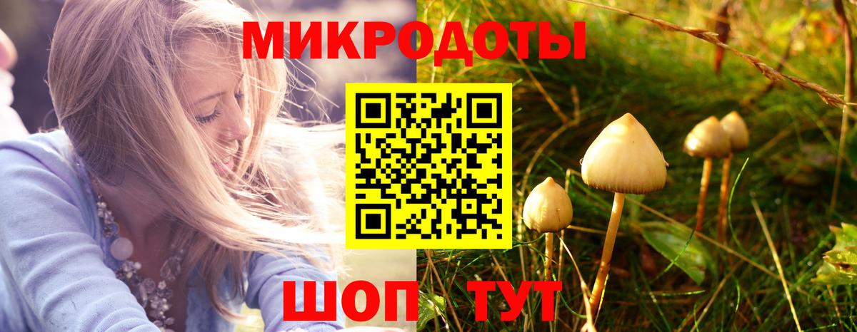 Галлюциногенные грибы прущие грибы  Вход с VPN  Галлюциногенные грибы прущие грибы  Переславль-Залесский 