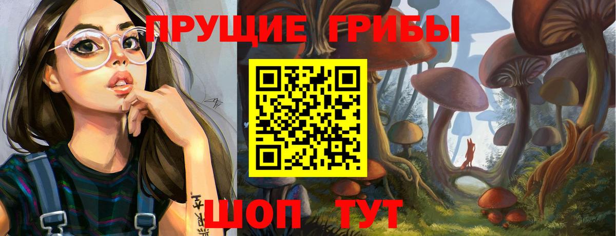 Псилоцибиновые грибы мицелий Переславль-Залесский