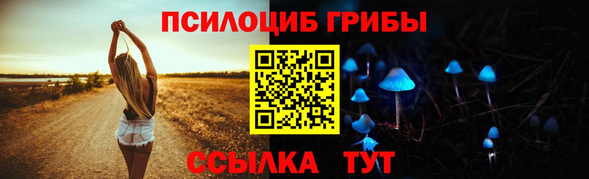 Псилоцибиновые грибы Psilocybe  Переславль-Залесский 